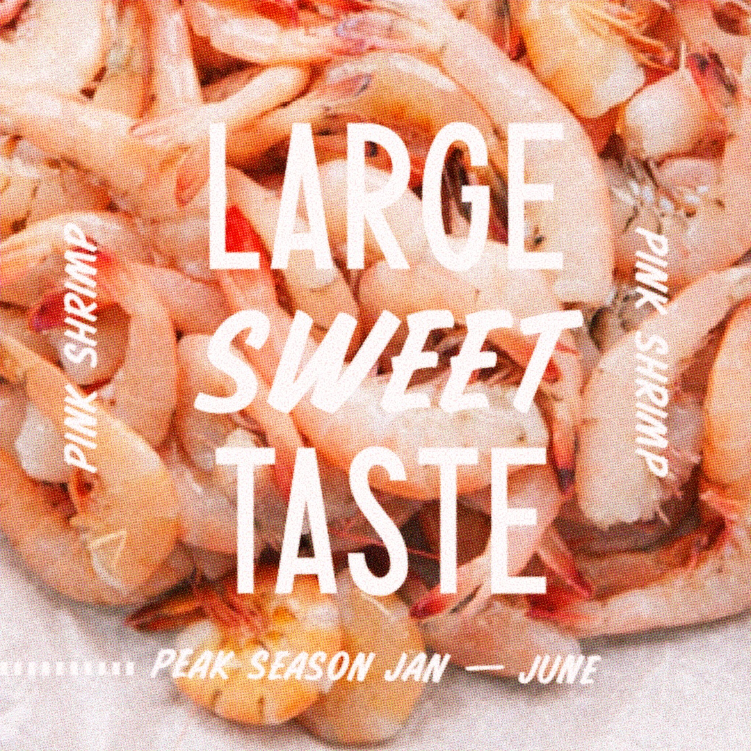 Alabama Seafood tweet media