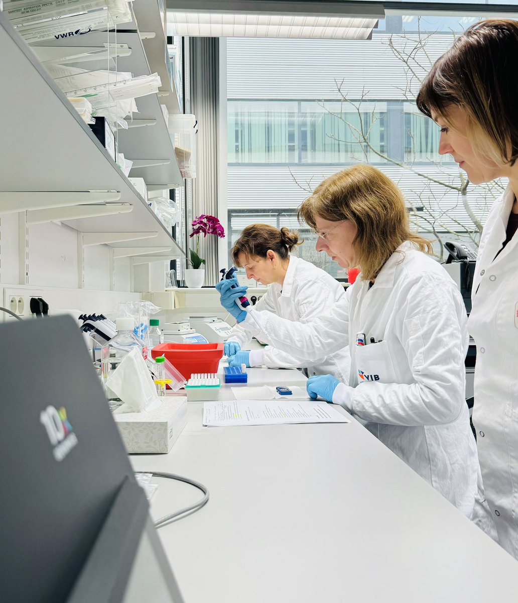 VIB Single Cell Core (@vibsinglecell) on Twitter photo Behind the scenes at <a href="/VIBLifeSciences/">VIB</a> : Spatial Catalyst and <a href="/VIBSingleCell/">VIB Single Cell Core</a> core working their magic to prepare the rollout of <a href="/10xGenomics/">10x Genomics</a> Visium HD service. Get ready for spatial science excellence! #VIBInnovation #ScienceSynergy <a href="/VIBtechnologies/">VIB Technologies</a> Behind the scenes at <a href="/VIBLifeSciences/">VIB</a> : Spatial Catalyst and <a href="/VIBSingleCell/">VIB Single Cell Core</a> core working their magic to prepare the rollout of <a href="/10xGenomics/">10x Genomics</a> Visium HD service. Get ready for spatial science excellence! #VIBInnovation #ScienceSynergy <a href="/VIBtechnologies/">VIB Technologies</a>