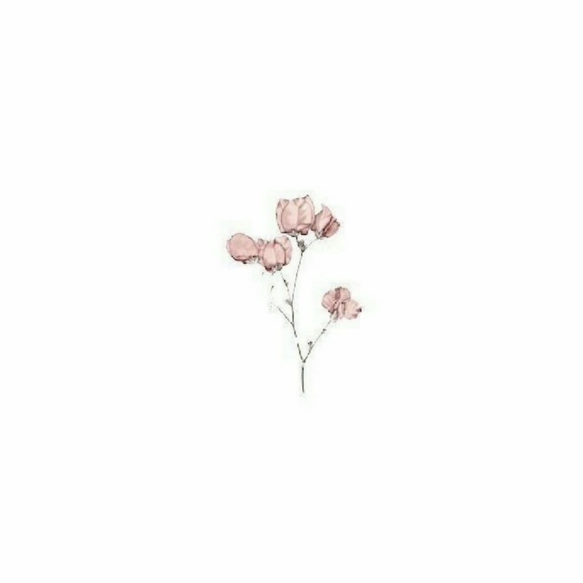 PopCrave's tweet photo. Britney Spears announces new project titled ‘SEX N DIAMONDS,’ dropping soon. https://t.co/oo7hqtMD4p