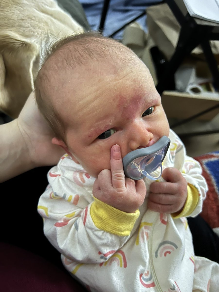 djgoodier's tweet photo. Lil bean already takes after her mother 😂🤣 https://t.co/DQAVC2hR5Z