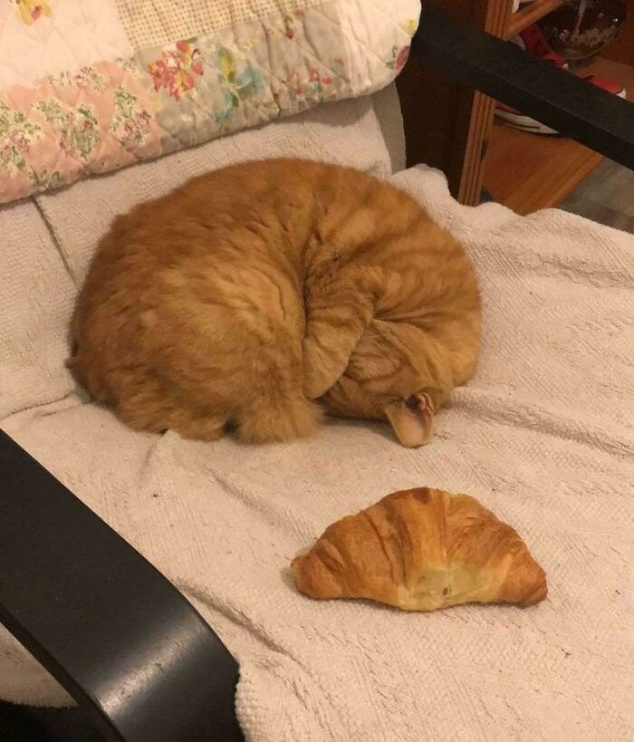 can u find the difference