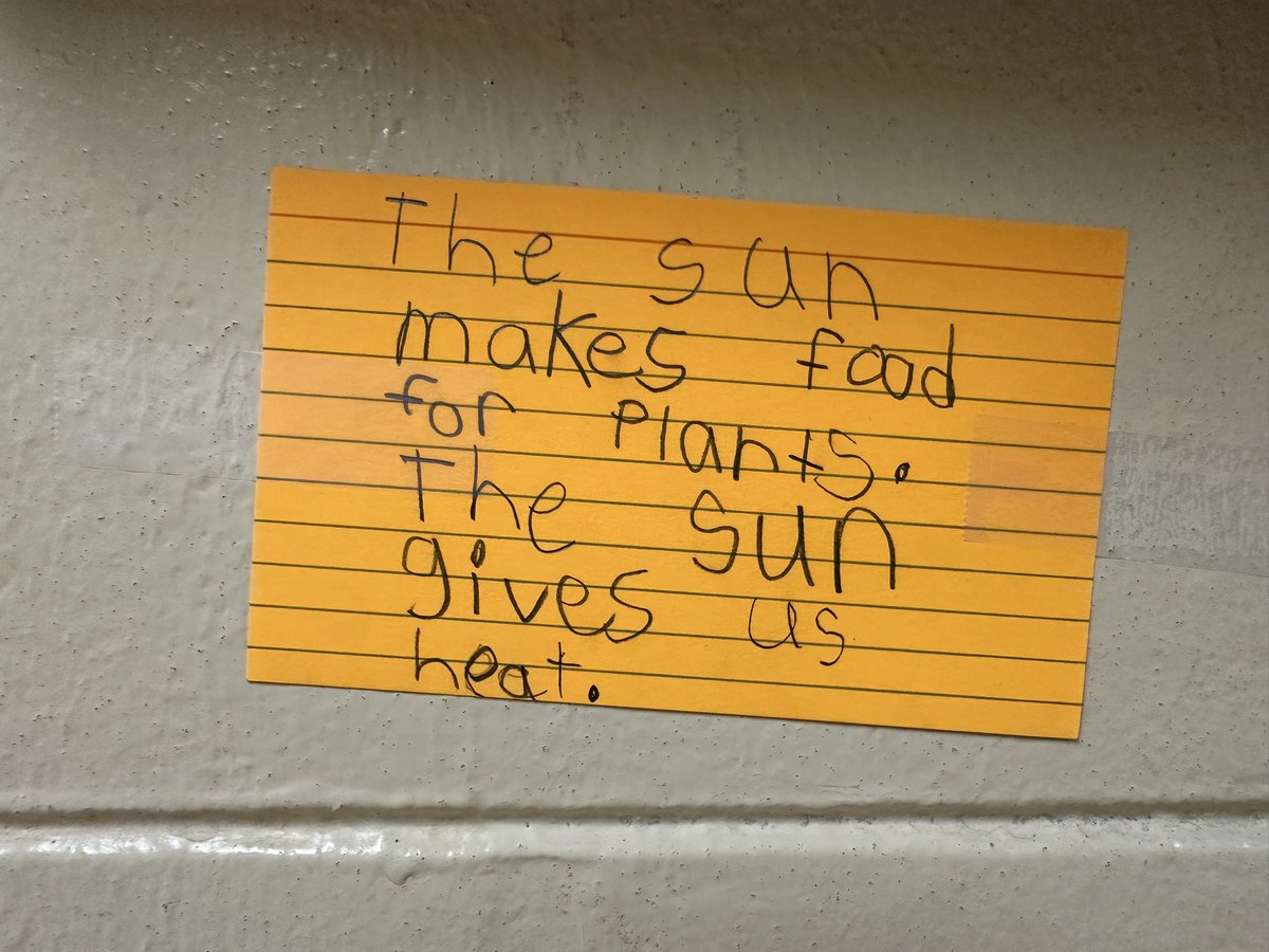 Melissa Triebwasser tweet media