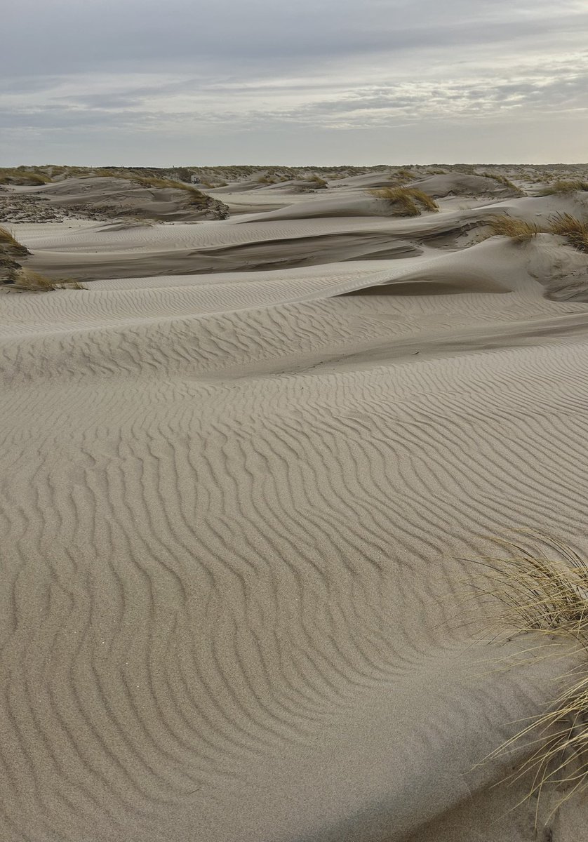 AnimaSolarisArt's tweet photo. How precious also are Your thoughts to me, O God! How vast is the sum of them! If I should count them, they would outnumber the sand.
When I awake, I am still with You.
Psalm 139:17-18

#WalkwithGod #NaturePhotography #Yeshua #Christian #earth #peace  #ClearPathDevotions #beach https://t.co/G2DdgYRN4g