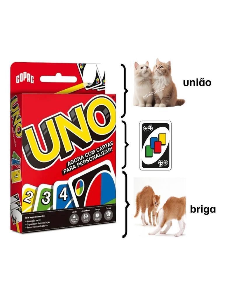 perfil dedicado a gatinhos e peitos (@odeiootaco) on Twitter photo 