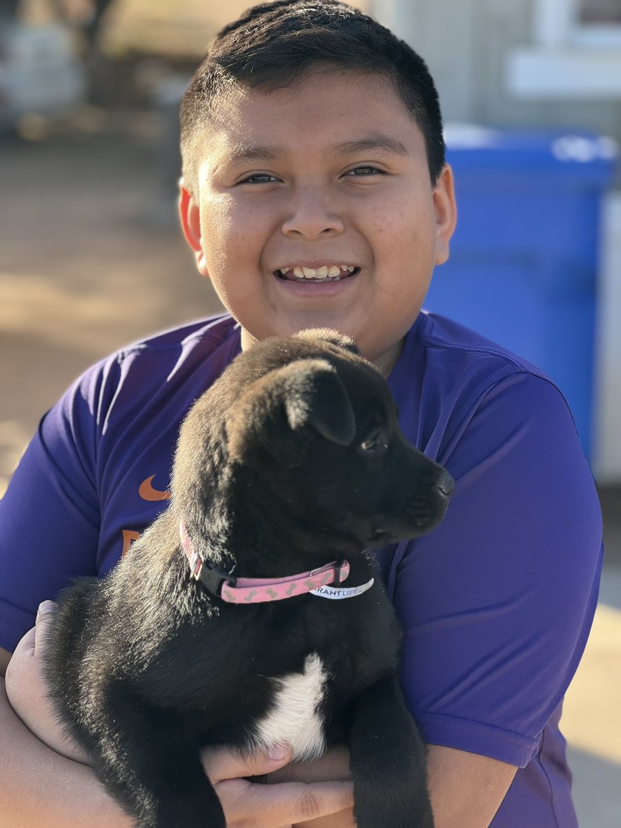 hansklose's tweet photo. Just because. #rezdog #Native #Arizona https://t.co/3SMgi87OSU