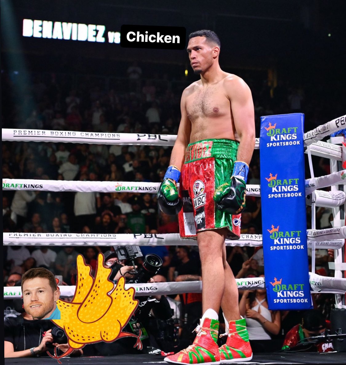 Str8outda408's tweet photo. After hearing todays news about canelos opponents this year! #canelo #caneloalverez #DavidBenavidez #Boxing #wbc https://t.co/p9q795bn6o