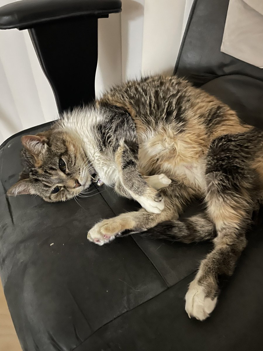 Someone’s turned on the cute since Evie came home.