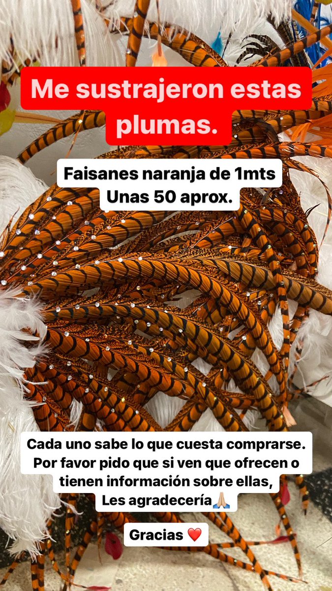 LivaRocio's tweet photo. Twitter es grande. Si me ayudan difundiendo? Las voy a compartir por todos lados. Si la ven en grupos de compra venta por favor avisarme. Soy de Quitilipi Chaco https://t.co/PhoaI8Du0a