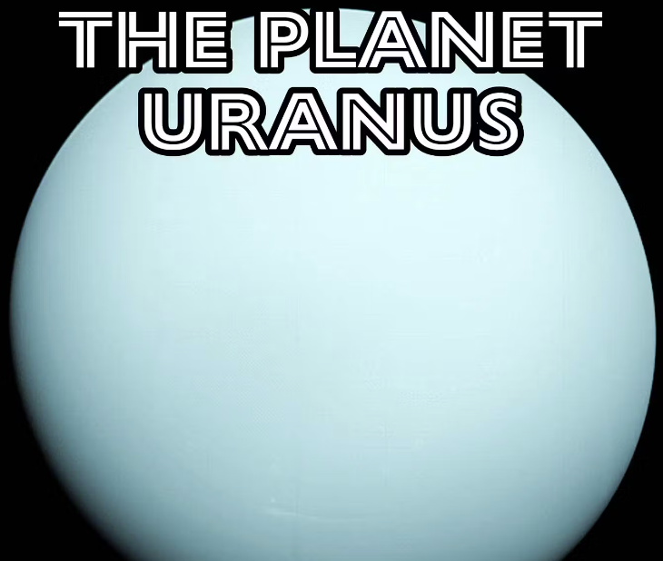 ANUS tweet media