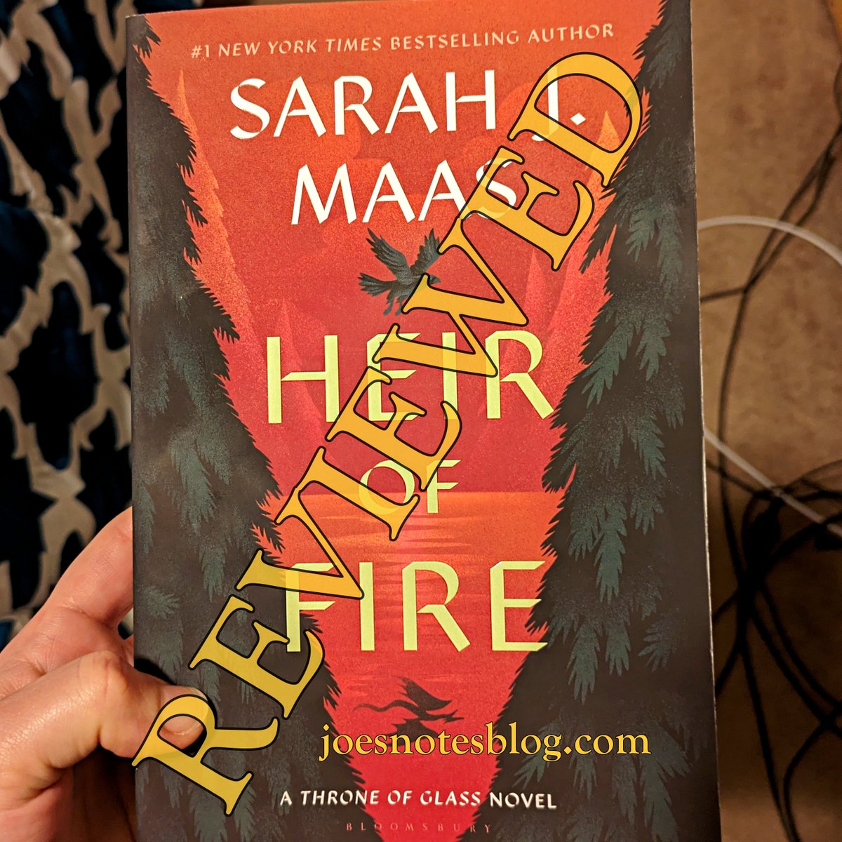 Book Review: Heir of Fire by Sarah J. Maas

joesnotesblog.com/blog/book-revi…

#fantasy #SarahJMaas #SJM #HeirOfFire #ThroneofGlass #reading #writing #readmore #bookreads #books #bookreview #reviews #novels #literature #bestseller #romance #fiction #series #synopsis