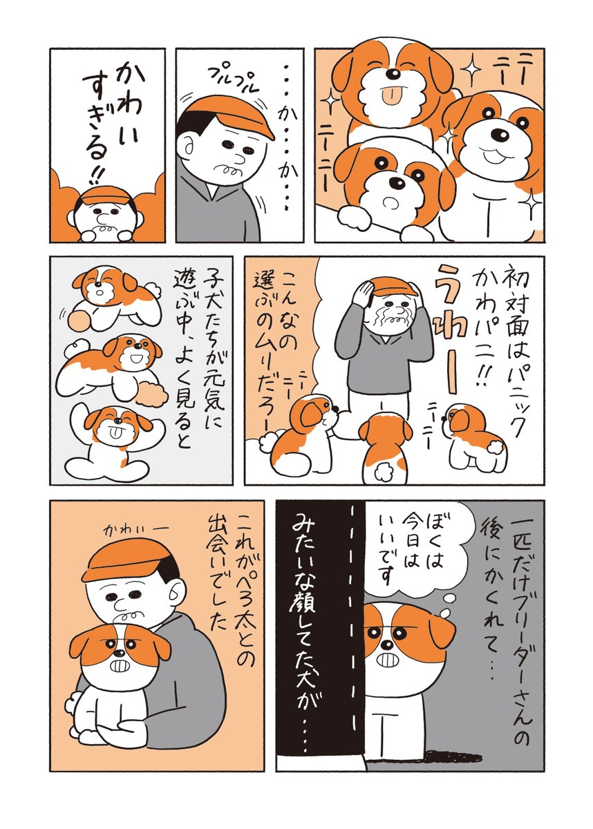 中年独身のイラストレーターが一人で犬を飼う話「わんまん」の2話目です。今回からハッシュタグを作りました。  2話「犬を飼う前に」  #わんまん #シーズー #犬の漫画