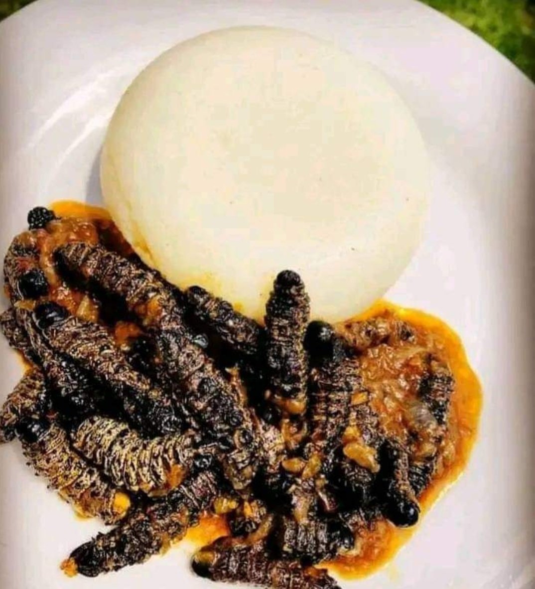 Munaka_Wamani's tweet photo. π: Pretoria East "Silverton"
π:Nationwide courier
π:0727624228 /0815724879
#Vendatwitter #VhuvhambadziDrive #DjSbu #MopaniWorms #GirlTalkZA #InCaseYouMissedIt #Betway #NoDNA #Skomota #LOTTO #MarkFish #Fahima #PatriceMotsepe #BafanaBafana ππ https://t.co/IHKnrQFYIP