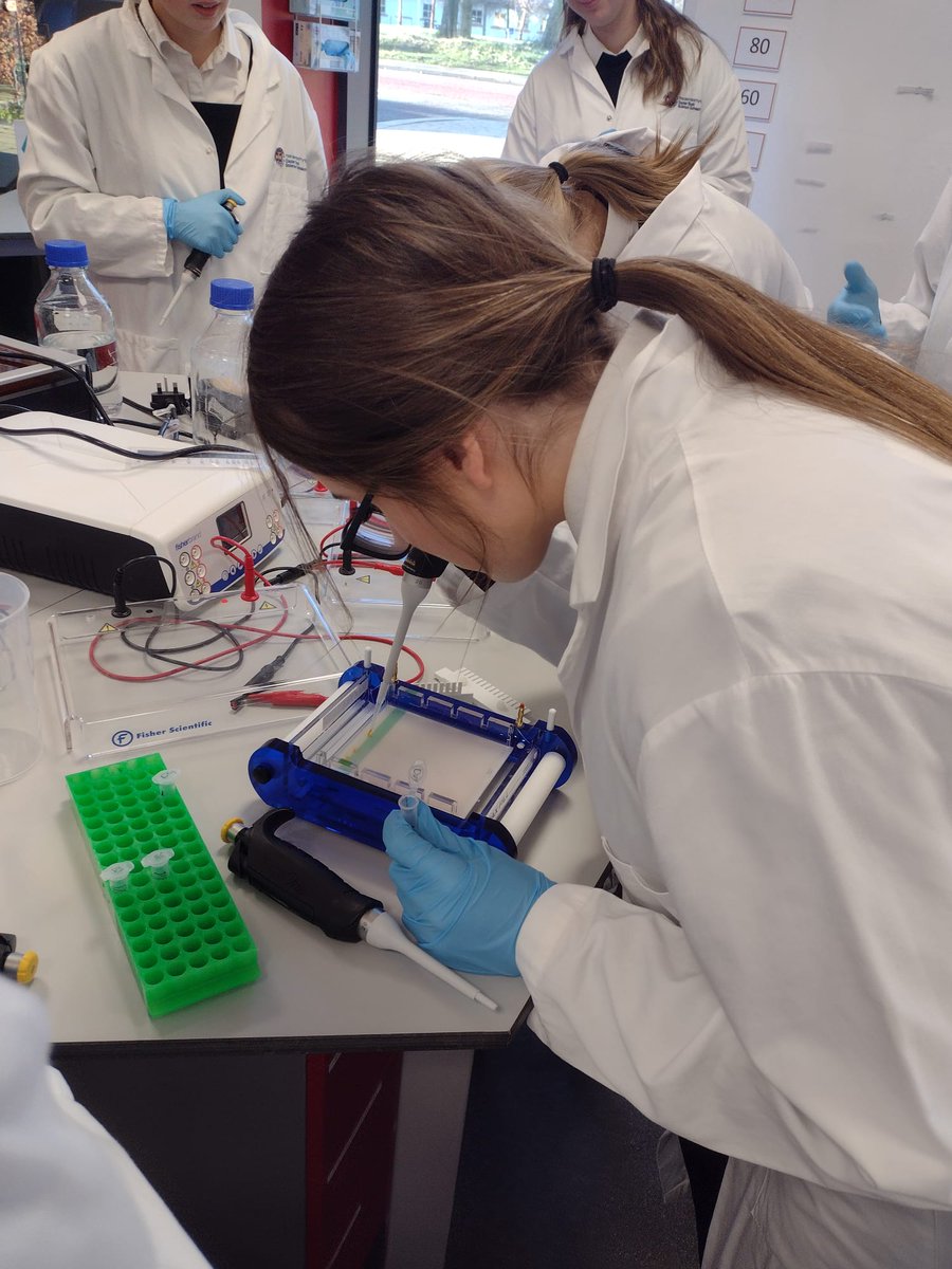 BHSscience tweet media