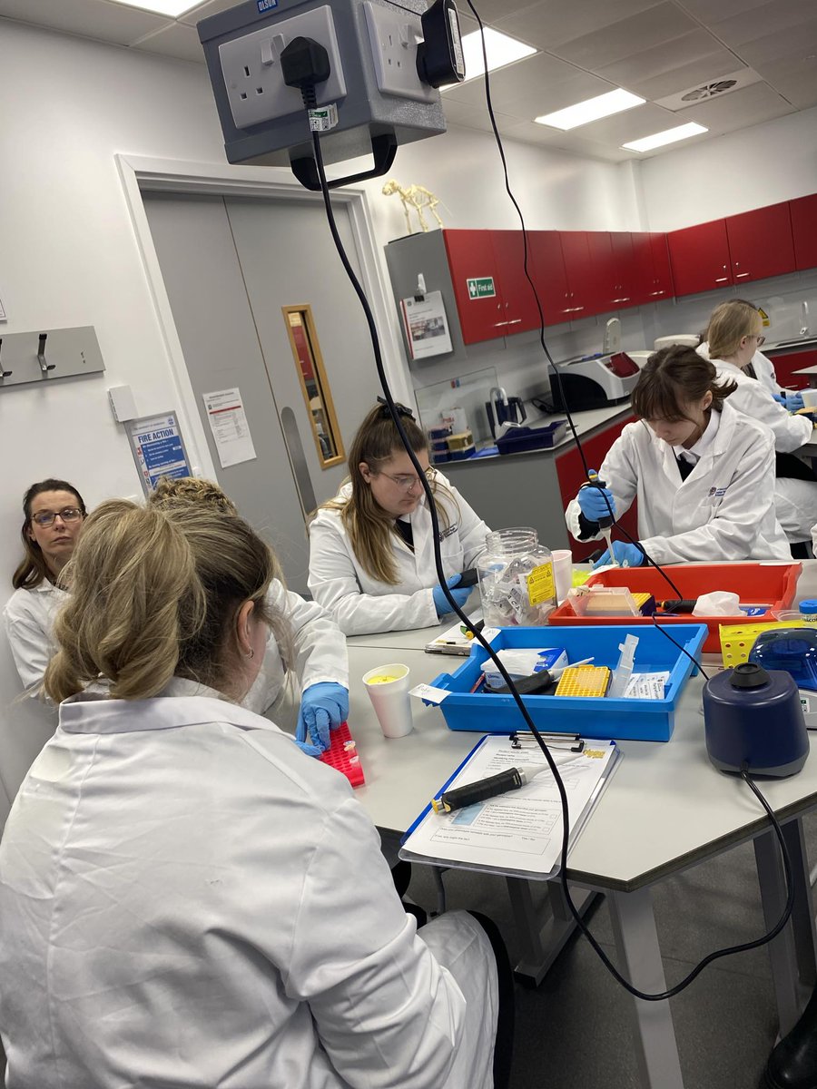 BHSscience tweet media