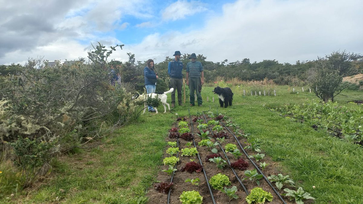 Que satisfacción comprobar en terreno cómo los diversos programas, asesorías y créditos de <a href="/INDAP_Chile/">INDAP_Chile</a> han permitido el desarrollo productivo y sustentable de nuestros usuarios en Natales.  Hoy visitamos a 4 de ellos y fuimos testigos de sus grandes avances. Felicitaciones.