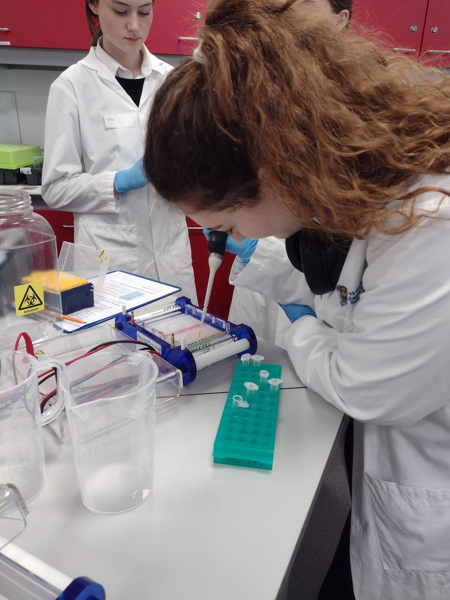 BHSscience tweet media