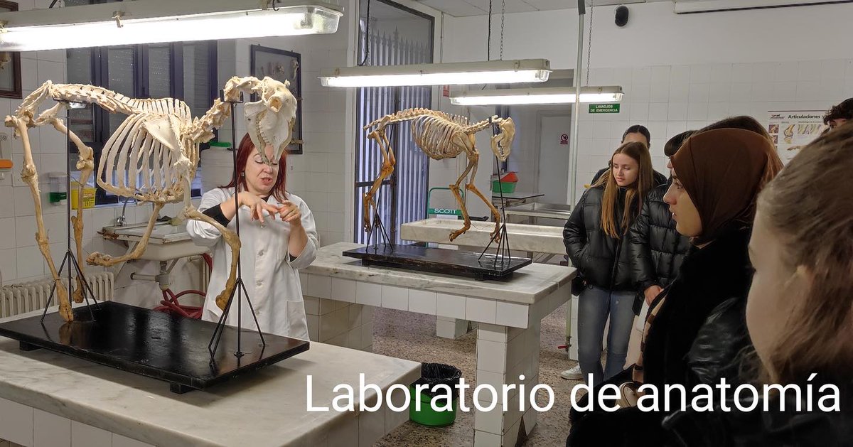 IES_Rodanas's tweet photo. Un grupo de alumnos y alumnas de 1° de bachillerato visitó la @FVeterinariaUZ donde les explicaron los estudios que se ofertan y las salidas laborales. Después pudieron ver algunas de sus instalaciones.
#ciencias #veterinaria #estudiarciencias #bachillerato #iesrodanas https://t.co/Sf0WP1WX1A