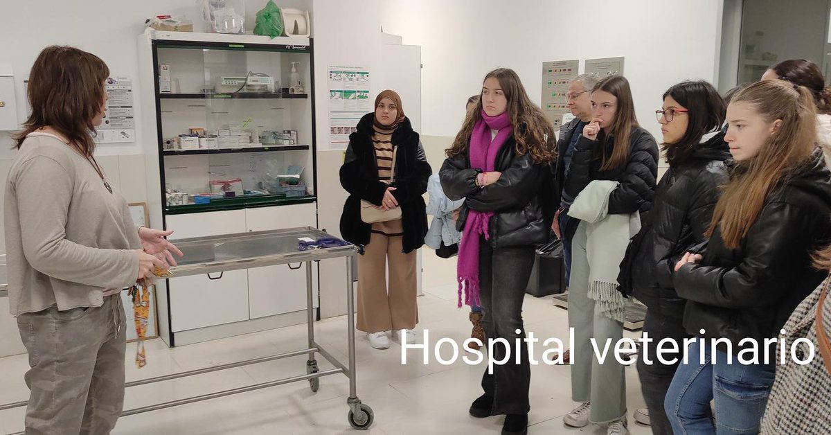 IES_Rodanas's tweet photo. Un grupo de alumnos y alumnas de 1° de bachillerato visitó la @FVeterinariaUZ donde les explicaron los estudios que se ofertan y las salidas laborales. Después pudieron ver algunas de sus instalaciones.
#ciencias #veterinaria #estudiarciencias #bachillerato #iesrodanas https://t.co/Sf0WP1WX1A