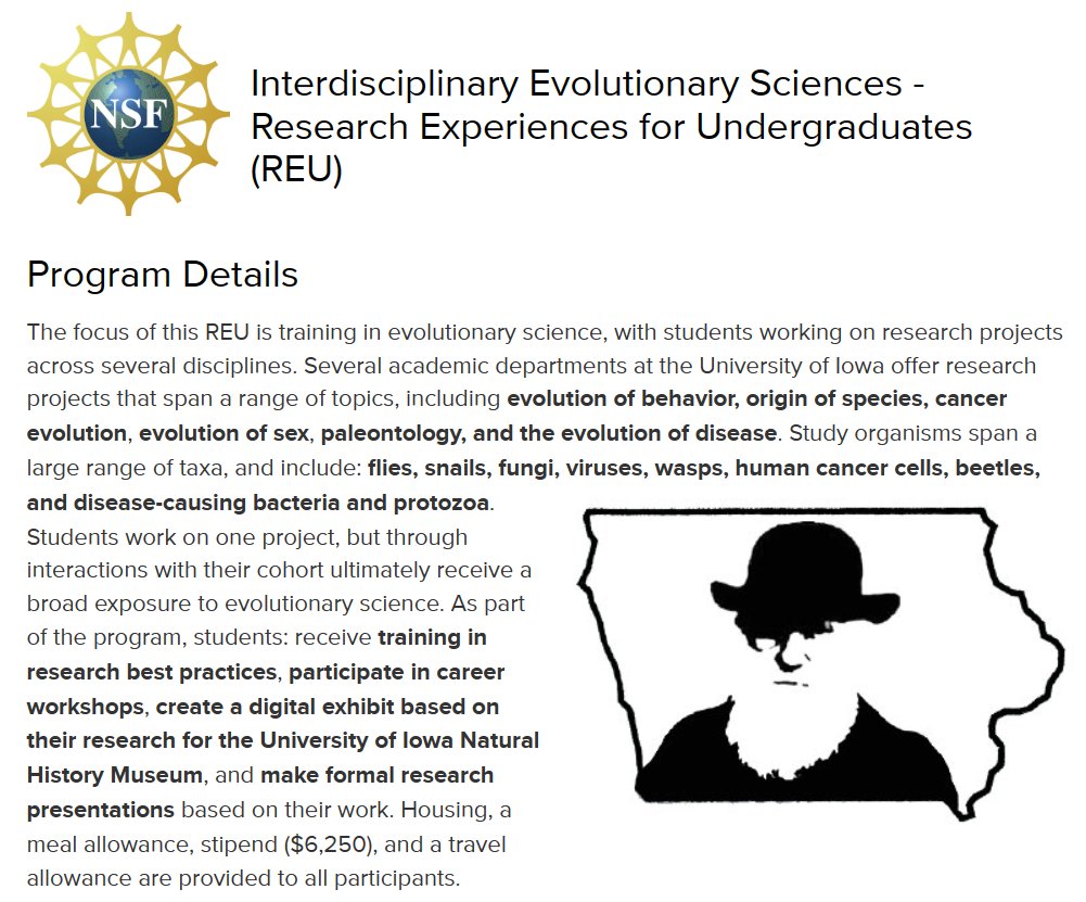 Time is almost up to apply for the NSF’s Research Experiences for Undergraduates (REU) Program in Interdisciplinary Evolutionary Sciences!
Visit biology.uiowa.edu/reu for program details, eligibility criteria, &amp; the application link—hurry, the deadline is February 1st, 2024! ⏰