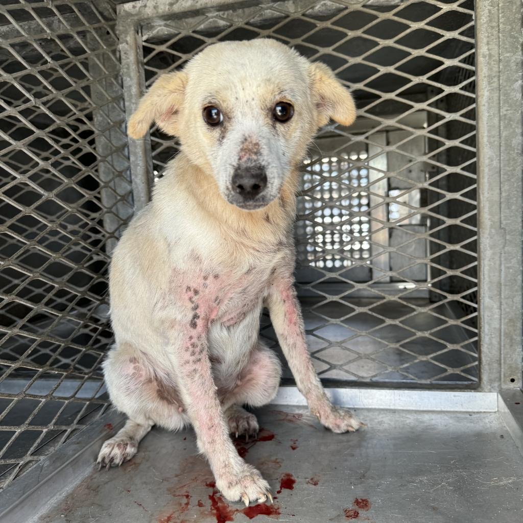 @sol_Alpha01 tweet media