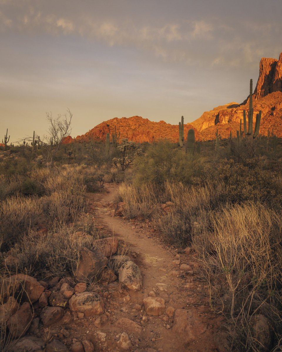 CodyMayer22's tweet photo. sunrise in the desert https://t.co/YWjmKJbuQT
