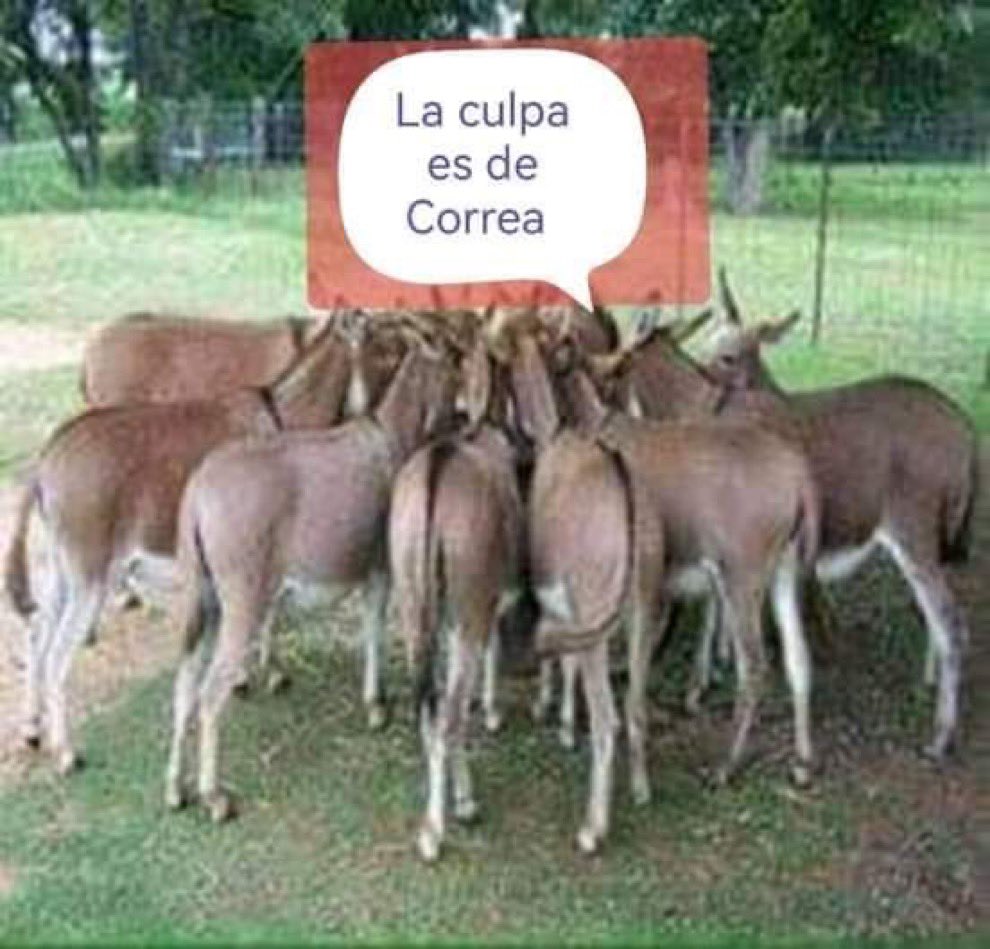 Rafael Correa tweet media