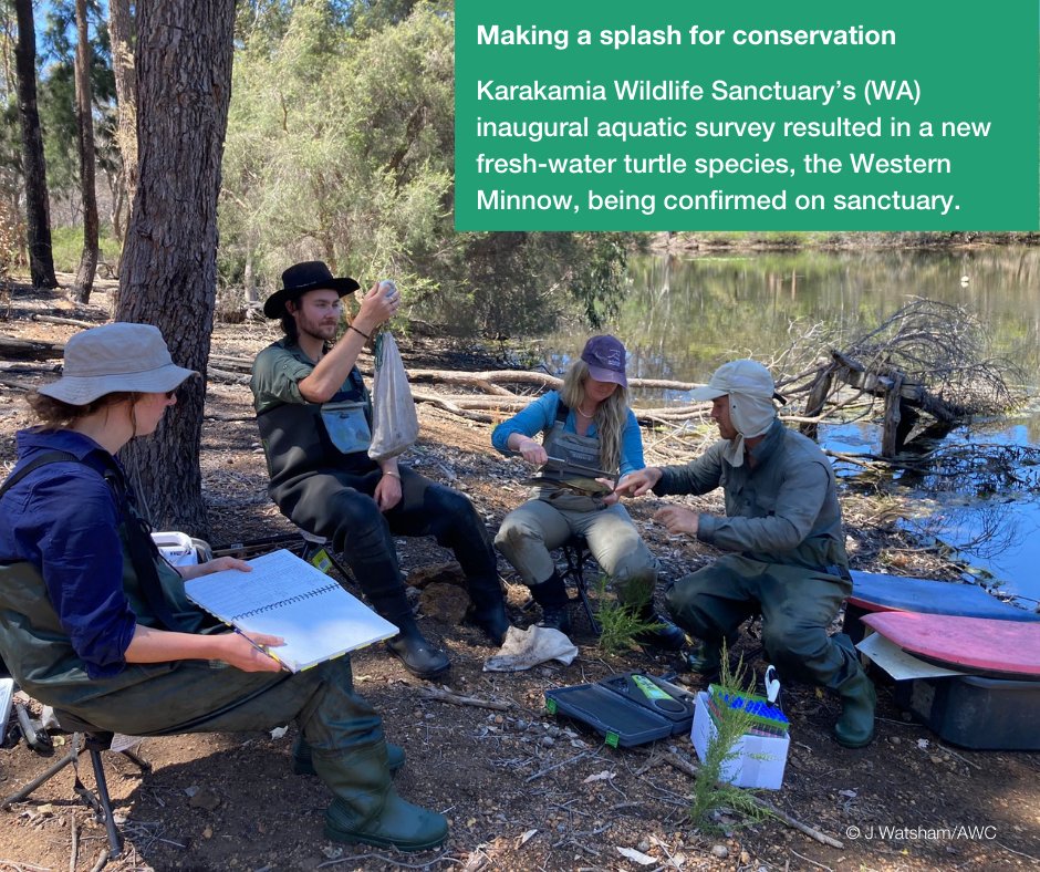 awconservancy's tweet photo. Positive conservation stories to end another month π
We're breaking up your newsfeed with a few of the top AWC field stories we shared this month.
Which is your favourite story? Let us know in the comments π
#AWC #ConservationOptimisim #AWCInTheField #PositiveNews https://t.co/LfRCxLLh1K