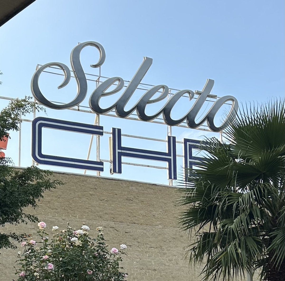 LisaThompsonPC's tweet image. After our delegation landed in Mexico, we literally hit the ground running when the Ontario Agri-Food Trade Mission visited retailers as an in-market exercise to assess opportunities for Ontario grains and bakery sectors.