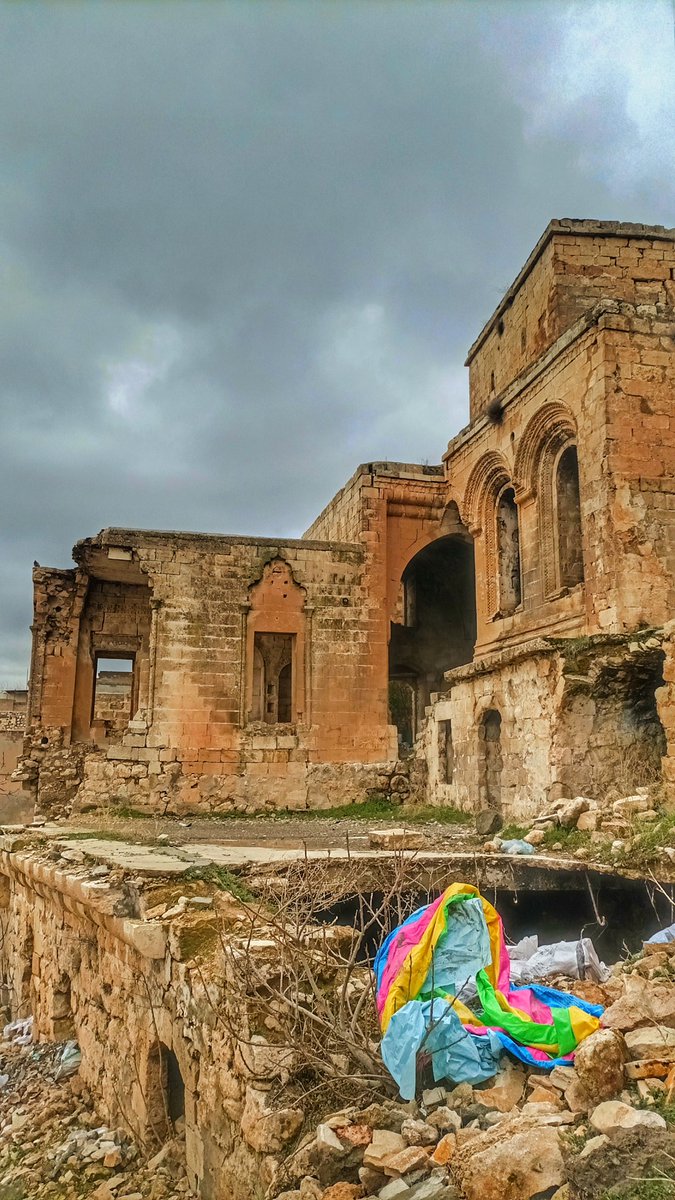 Fırat junior demir (@firatjunior) on Twitter photo 