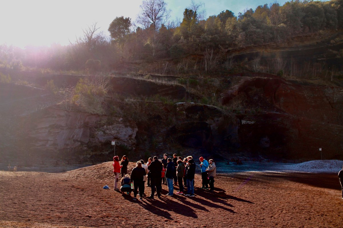 Bryn Loftness tweet media