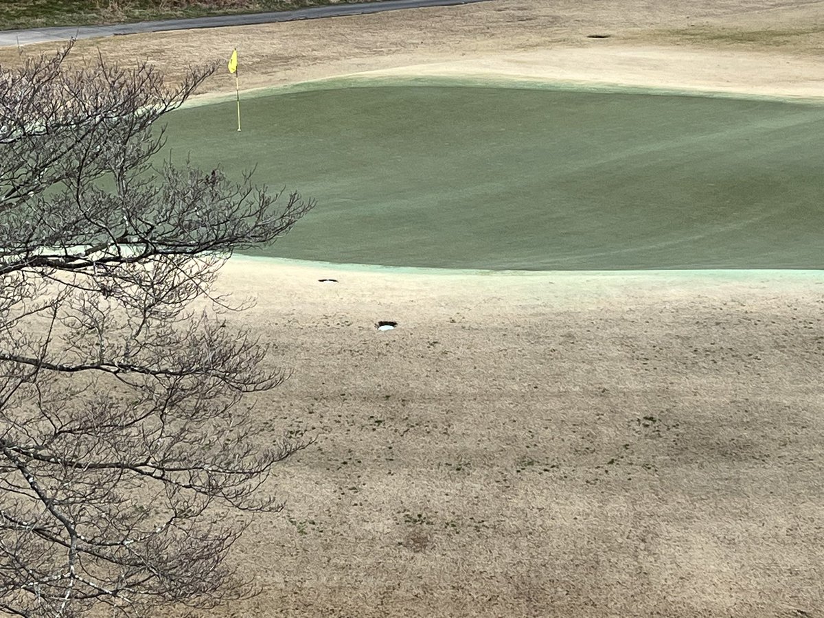 GoPetrelsMGolf's tweet photo. January Golf @RivermontGC and our fab hosts @Chriscupit @SabrinaWSB #coolandcrisp @GoPetrelsMGolf @OglethorpeUniv @GoPetrels https://t.co/GN5vwO7DW2