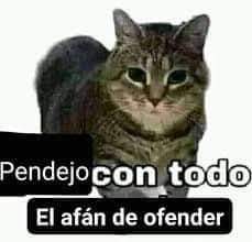 C a r x l i n e ◟̽◞̽ 🇪 tweet media