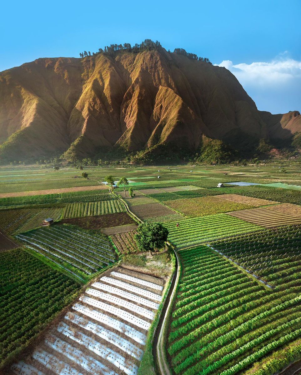 North Lombok's charm unveiled! 🍃 Enchanting rice fields and stunning waterfalls await. 
📸Credit: @merrwatson  
#WonderfulJourney #WonderfulIndonesia #LombokMagic #NatureBeauty #IslandAdventure