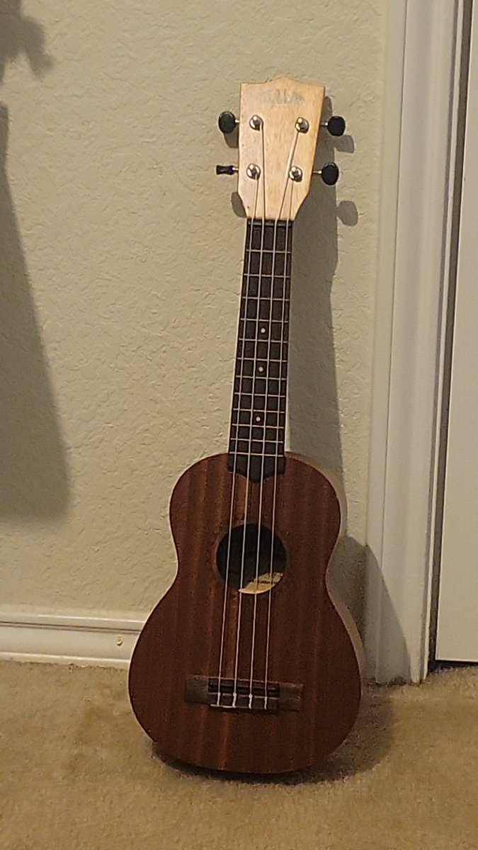 SoupRoselia's tweet photo. Soup the raccoon returns with a new find. Found a ukulele today outside https://t.co/NVxQz5sXAk