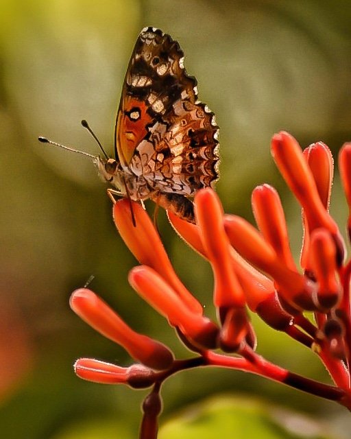 Ana_lia_d tweet picture