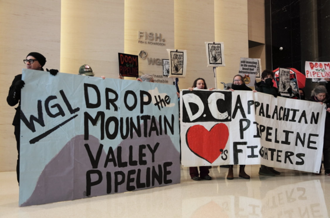 ThirdActVa's tweet image. Some possums and Third Actors took the fight against the MVP to DC’s Washington Gas, which owns 8% of the doomed pipeline. ⁦@stopthemvp⁩