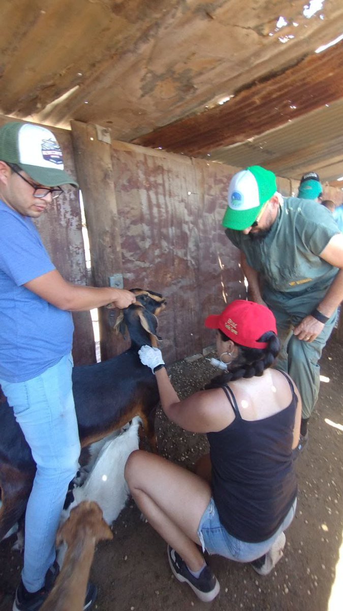 Desde el 23 al 27 de enero se realizaron las II Jornadas Rurales Vivenciales Solidarias en Mendoza, organizadas por el <a href="/CEA_Agro/">Centro De Estudios Agrarios 🌾</a> Cómo egresadxs de la uni pública apostamos y defendemos estos proyectos colectivos, porque creemos que es posible una 
#ArgentinaProductivaYSustentable