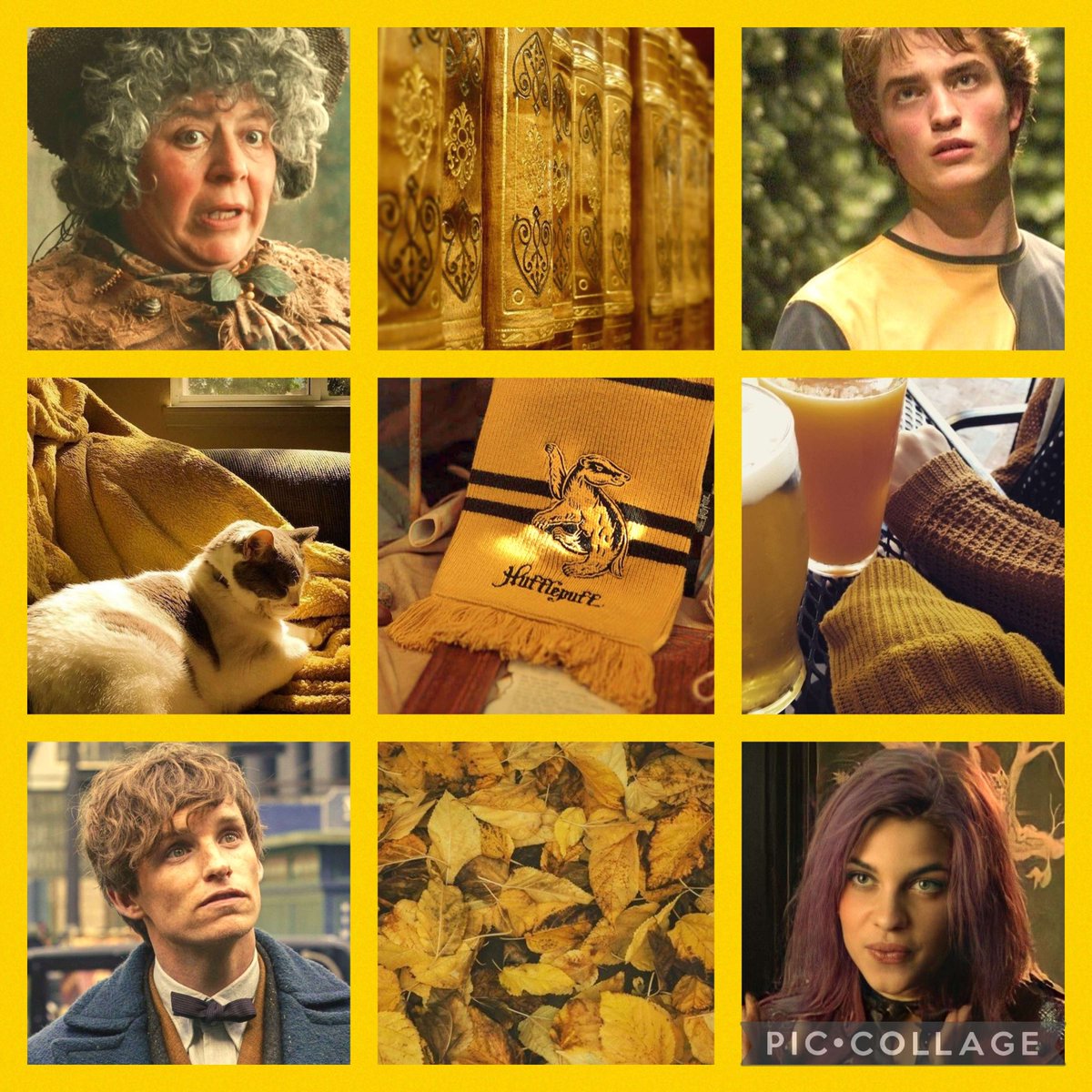 50ShadesOfBi's tweet photo. It's #WizardingWorldWednesday and here is the yellow aesthetic board you didn't know you needed. And here's a secret... I'm a Hufflepuff 😂 💛🖤💛🖤

#Hufflepuff #ProfessorSprout #CedricDiggory #Tonks #NewtScamander #Hogwarts #magic #yellow #aesthetic https://t.co/QrmRc11Z29