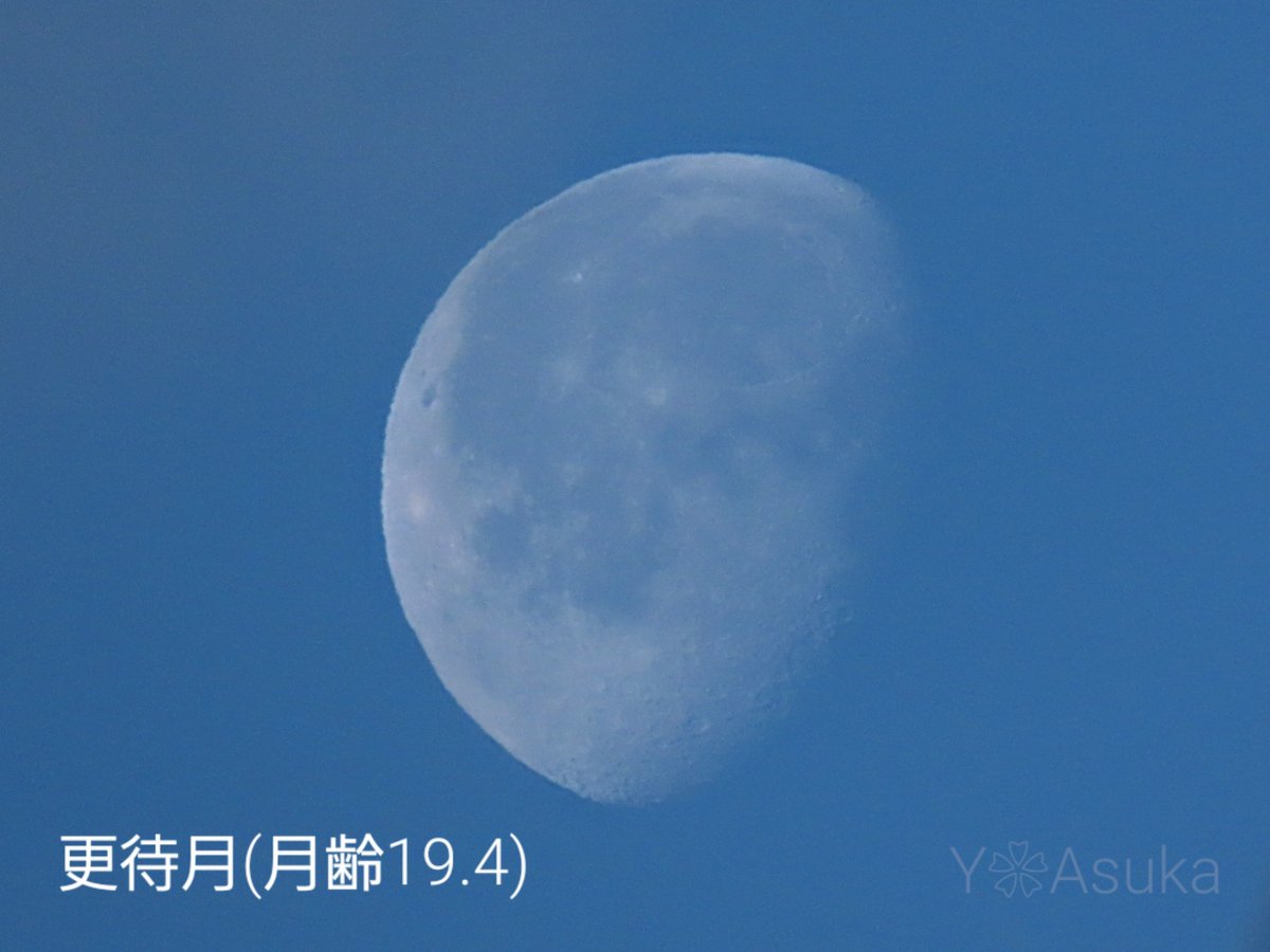 yumeasutw's tweet photo. #青空 に #高積雲 が流れ行く雲間から朝日が眩い水曜日の朝🌤️
西の空に白い🌖 #寝待月 (月齢19.4)

予想最高/最低気温🌡️13℃/-1℃
晴れ☀️
お洗濯日和👕👖日が差したり陰ったり午後は南風が吹きそうです🌬️➰

#イマソラ
#イマツキ #月 #moon
#空の名前
#天気の図鑑 #雲の超図鑑
#a2024  #a0131 #a202401 https://t.co/yQo4G24ju1