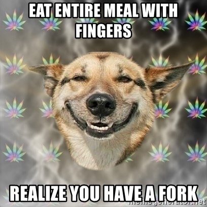 sunsfam32's tweet photo. I thought this was hilarious because I have definitely done this before haha!! #relatabledog #mco335 https://t.co/Qp2Hjc2ryp