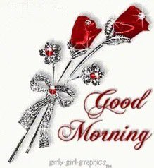 LitunMohammad's tweet photo. https://t.co/IaUmHJgf3e