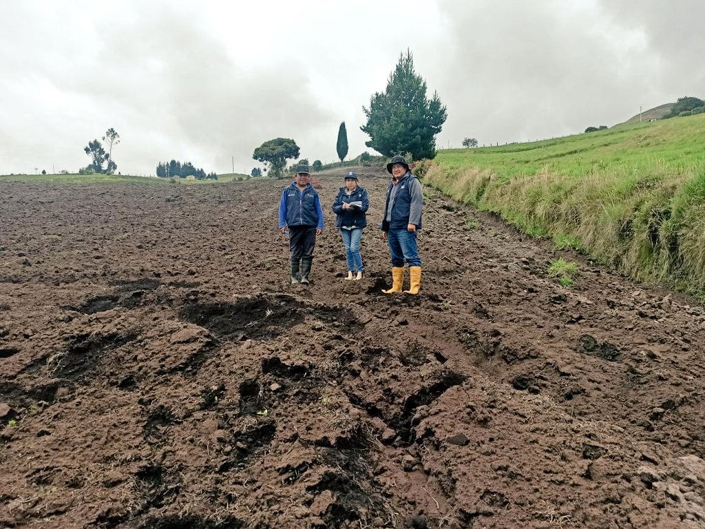 Agricultura_CZ3's tweet photo. #Chimborazo| Impulsamos la producción de calidad🥜. Con técnicos de la Unidad de Semillas, Fepp y el Gobierno Parroquial de #Cebadas capacitamos a cinco comunidades y realizamos la siembra de seis campos de multiplicación de semilla de papa,variedad súper chola👩🏭🌱#ElNuevoEcuador https://t.co/2LGKoAJ7Wt