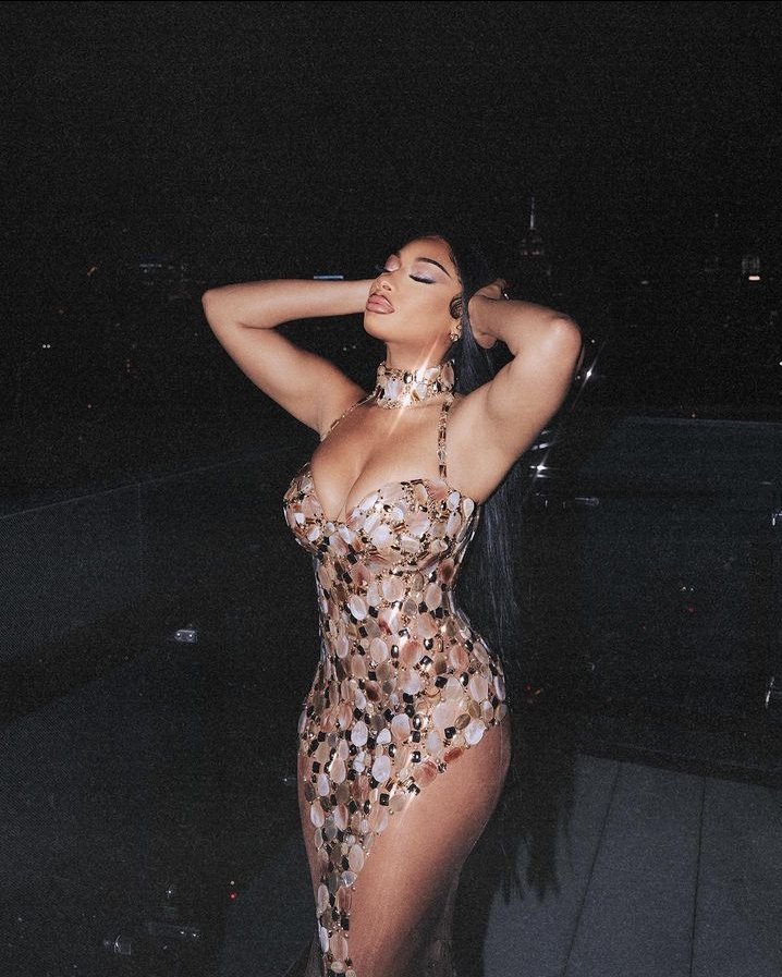 _svirxy_'s tweet photo. Megan Thee Stallion as BLACKSWAN pics/Albums a Thread: https://t.co/VzS36J6kwM