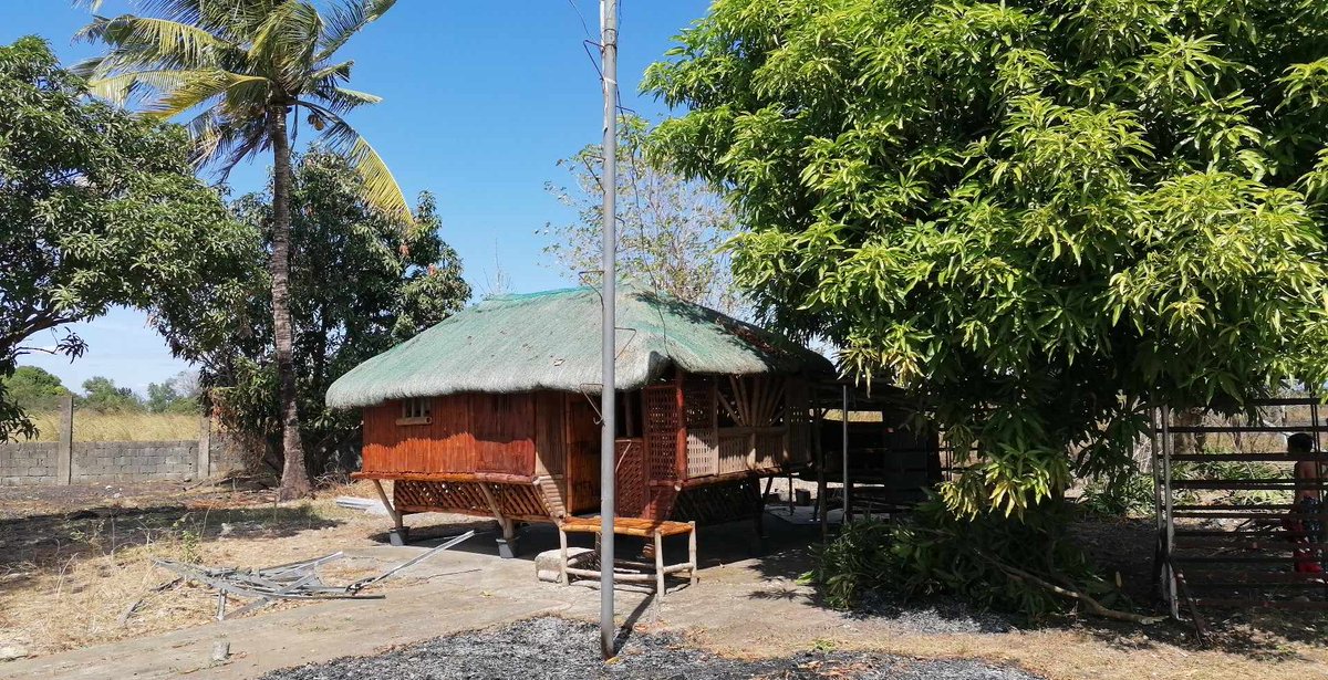 SIMPLE LIVING... ☺️