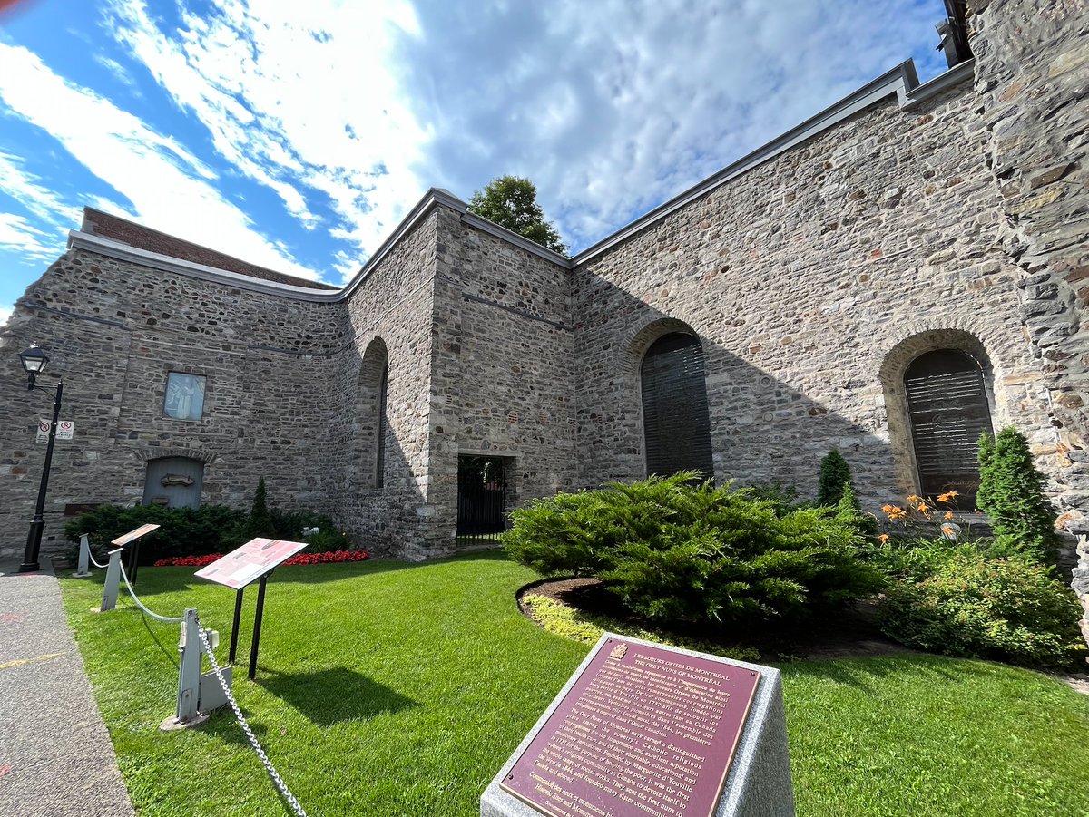 Borealia tweet media