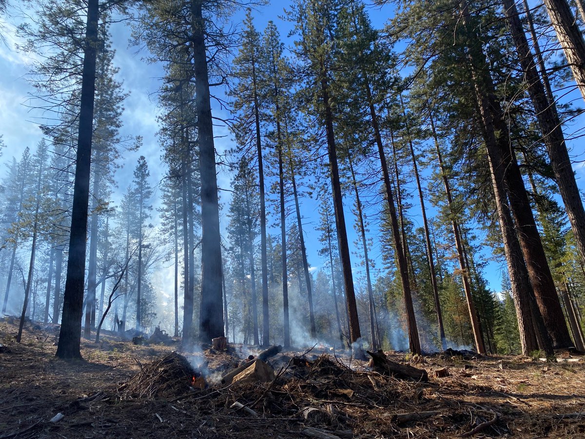 Yosemite Fire completed 80 burn piles yesterday in Wawona. This caused smoky conditions this morning, but blue skies returned to the community this afternoon. Pile burning efforts will pause this evening due to weather forecasted to move into the area. NPS Photo K.DeRosier