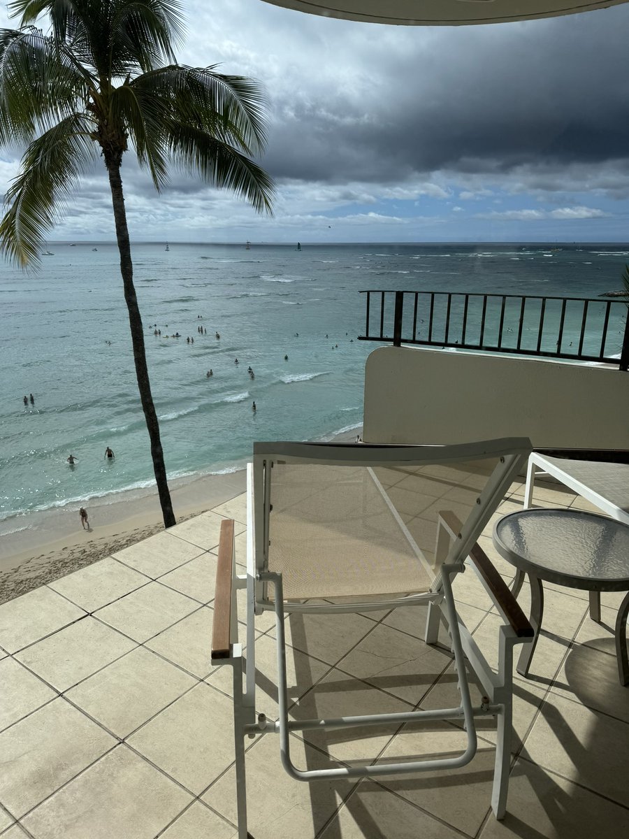 Alexis DeBello tweet media