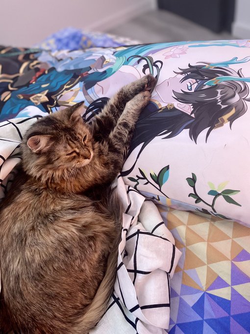 we live on CB 😻  link &bull; &bull; &bull; https://t.co/7HJRIIZUTp https://t.co/1vGVOjdk8Y<a href="/tag/chaturbategirl"class="tags"><span>#chaturbategirl</span></a>