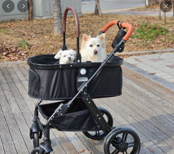 장코드 tweet media