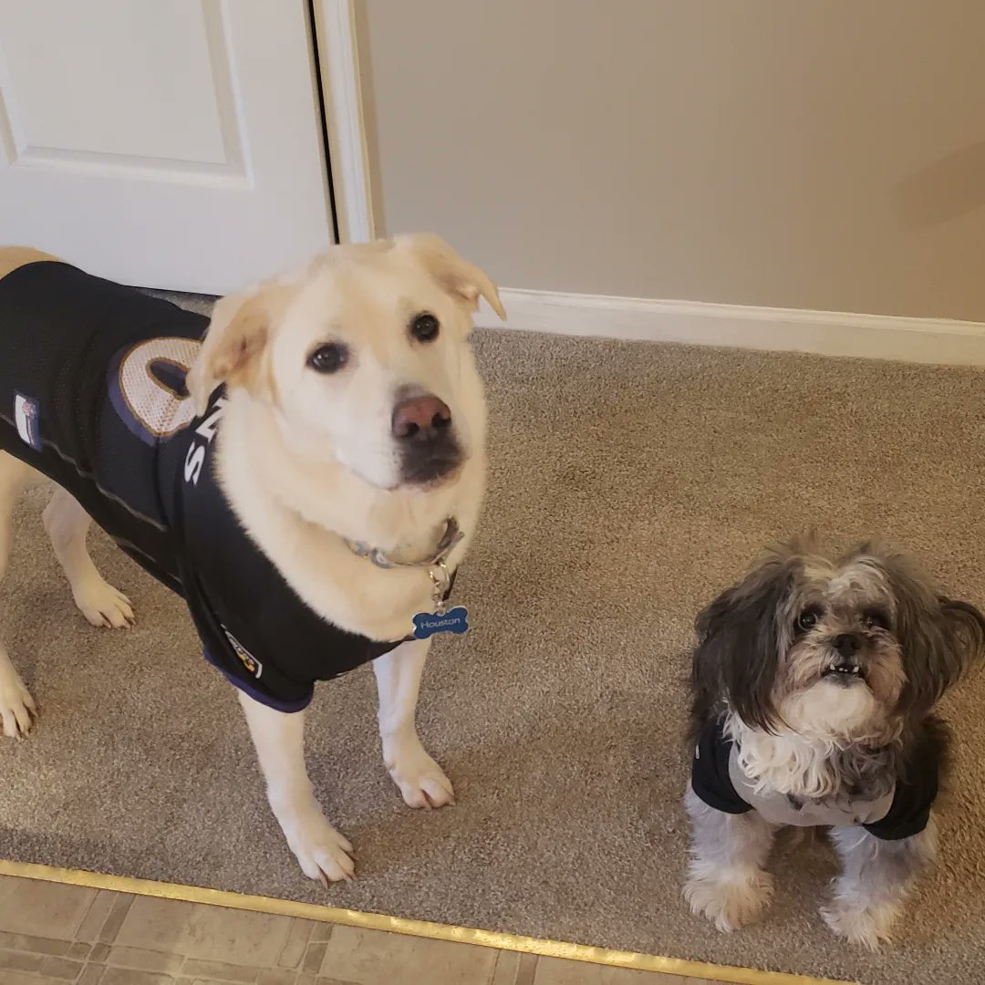 Dawn White tweet media